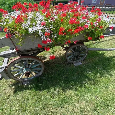 'reit' - - Giardino, Parcheggio, Wi-fi Daire